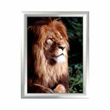 Snap Frame 11" x 17"